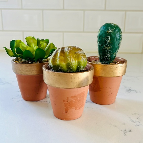 Pier 1 set of three faux mini decorative cactus - Picture 6 of 15